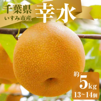 【2025年発送先行受付】いすみ市産幸水梨　約5kg(13～14個)