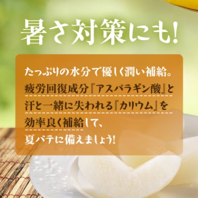 【2025年発送先行受付】いすみ市産幸水梨　約5kg(13～14個)