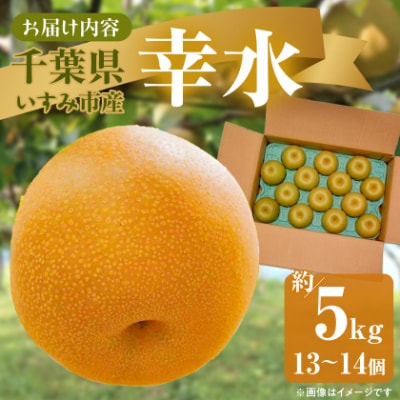 【2025年発送先行受付】いすみ市産幸水梨　約5kg(13～14個)