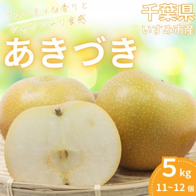 【2025年発送先行受付】いすみ市産あきづき梨　約5kg(11～12個)