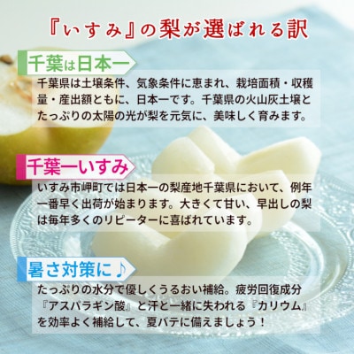 【2025年発送先行受付】いすみ市産あきづき梨　約5kg(11～12個)