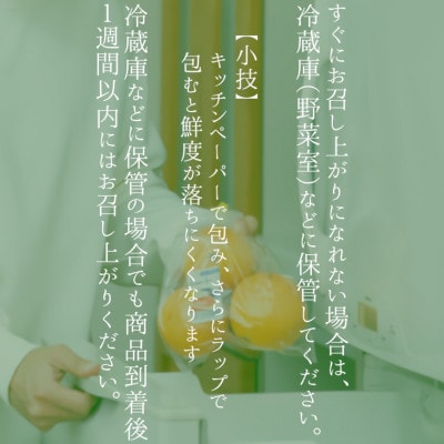【2025年発送先行受付】いすみ市産あきづき梨　約5kg(11～12個)