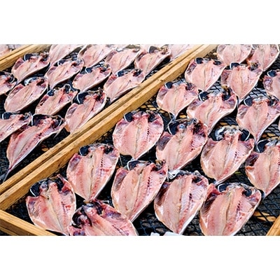 ひもの職人がおススメする「真あじ・さば干物セット」 海の直売所 アルファ