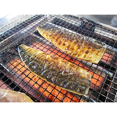 ひもの職人がおススメする「真あじ・さば干物セット」 海の直売所 アルファ