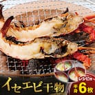 イセエビ干物セット(半身×6)　海の直売所 アルファ