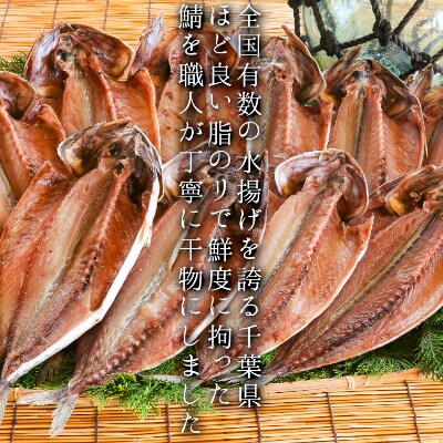 海の直売所アルファ　大人気!さば干物10枚　