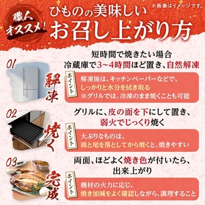 海の直売所アルファ　真空パックで鮮度長持ち!真あじ開き12枚セット