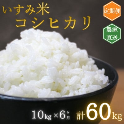 【毎月定期便】千葉県いすみ市産コシヒカリ10kg 全6回