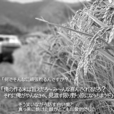 【毎月定期便】千葉県いすみ市産コシヒカリ10kg 全6回