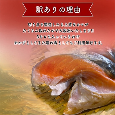 【訳あり】人気海鮮お礼品 銀鮭カマ 約3kg