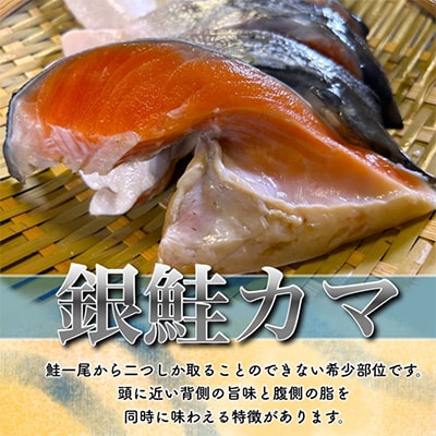 【訳あり】人気海鮮お礼品 銀鮭カマ 約3kg