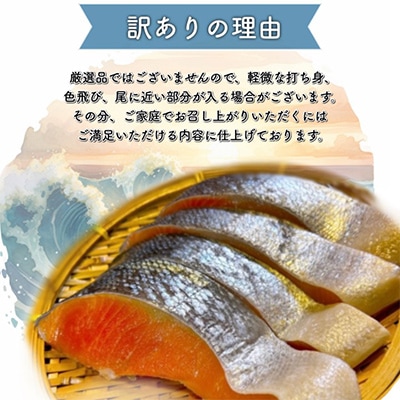 厚切り塩銀鮭切身　約1.5kg