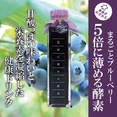 5倍に薄める酵素・まるごとブルーベリー