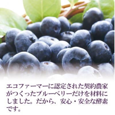 5倍に薄める酵素・まるごとブルーベリー