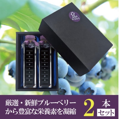 5倍に薄める酵素・まるごとブルーベリー