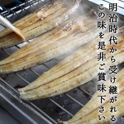 鰻の老舗　千葉県いすみ市藤井のうなぎ白焼き(5匹)
