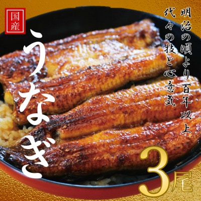 鰻の老舗　千葉県いすみ市藤井のうなぎ白焼き(3匹)