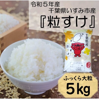 【令和5年産】　ふっくら大粒　千葉県いすみ市産粒すけ　精米5kg