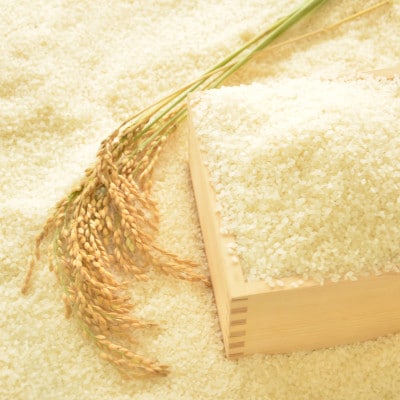 【令和5年産】　ふっくら大粒　千葉県いすみ市産粒すけ　精米5kg