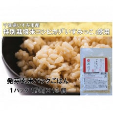 千葉県いすみ市産特別栽培米コシヒカリいすみっこ発芽玄米パックごはん170g&times;10パック 