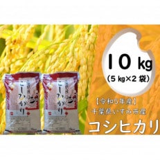 【令和5年産】 関東一早場米産地 千葉県いすみ市産 コシヒカリ精米10kg(5kg&times;2袋)