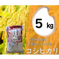 【令和5年産】 関東一早場米産地 千葉県いすみ市産 コシヒカリ精米5kg