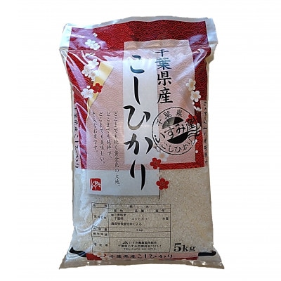最新作売れ筋が満載 令和5年産】 関東一早場米産地 千葉県いすみ市産 コシヒカリ精米 米・雑穀・粉類