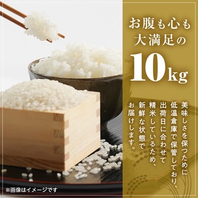 【千葉県いすみ市産】コシヒカリブレンド　精米10kg(5kg×2袋)
