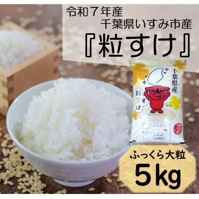 【令和7年産米】　ふっくら大粒　千葉県いすみ市産粒すけ　精米5kg