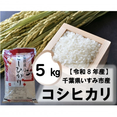 【令和8年産米】千葉県いすみ市産　コシヒカリ精米5kg