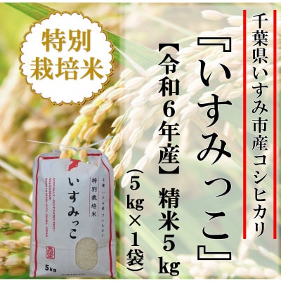 【令和6年産米】千葉県いすみ市産特別栽培米コシヒカリ『いすみっこ』精米5kg(5kg×1袋)