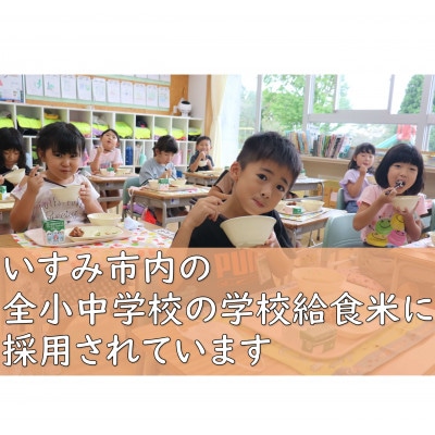 【令和6年産米】千葉県いすみ市産特別栽培米コシヒカリ『いすみっこ』精米5kg(5kg×1袋)