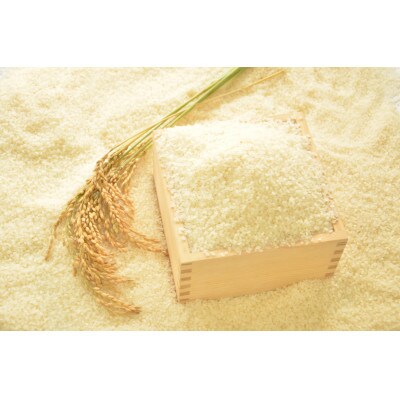 【令和7年産米】千葉県いすみ市産　有機JAS認証コシヒカリ『いすみっこ』　精米4Kg(2Kg×2袋)