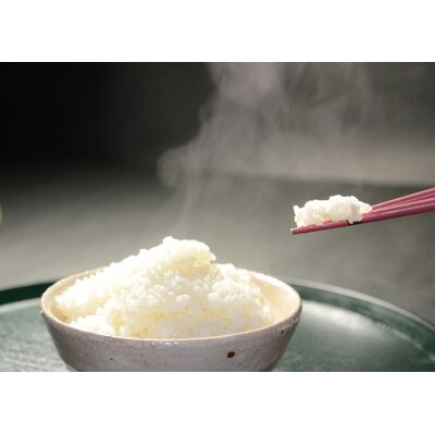 【令和7年産米】千葉県いすみ市産　有機JAS認証コシヒカリ『いすみっこ』　精米4Kg(2Kg×2袋)