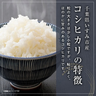 【発送月固定定期便】千葉県いすみ市産コシヒカリ 10kg(5kg×2袋)全6回