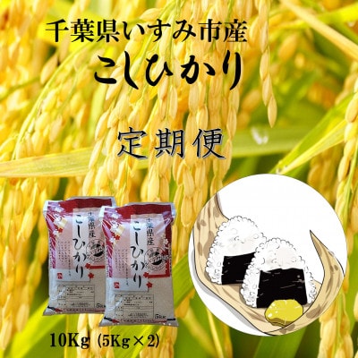 【毎月定期便】千葉県いすみ市産コシヒカリ10kg(5kg×2袋)全3回