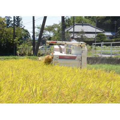 【毎月定期便】千葉県いすみ市産コシヒカリ10kg(5kg×2袋)全3回