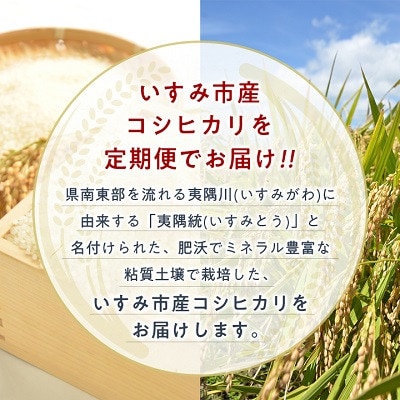 【発送月固定定期便】千葉県いすみ市産コシヒカリ 10kg(5kg×2袋)全6回
