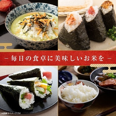 【毎月定期便】千葉県いすみ市産コシヒカリ 10kg(5kg×2袋)全3回