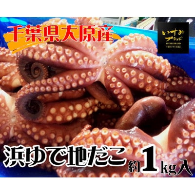 【千葉県大原産】浜ゆで地だこ 約1kg
