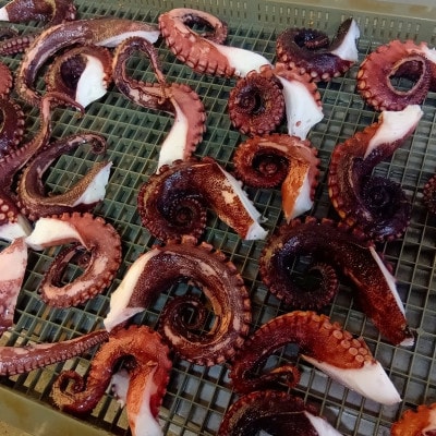 【千葉県大原産】浜ゆで地だこ 約1kg