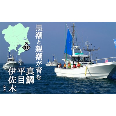 釣り船乗船券1名様(10,000円分)