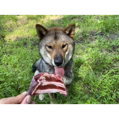 愛犬専用「房総小鹿肉のドッグフード・プレミアム」(無添加・新鮮)