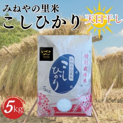 【数量限定】令和6年産　みねやの里米　こしひかり(精米)　5Kg