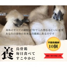 庭先養鶏いすみケンコーファームが烏骨鶏の有精卵10個を心を込めて大切なあなたへお届けいたします