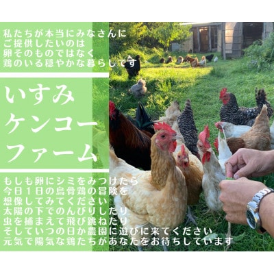 庭先養鶏いすみケンコーファームが烏骨鶏の有精卵10個を心を込めて大切なあなたへお届けいたします