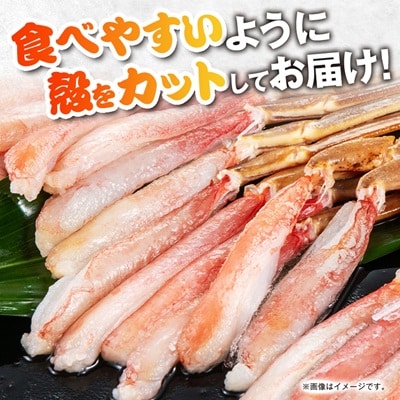生本ズワイガニ脚肉むき身500g