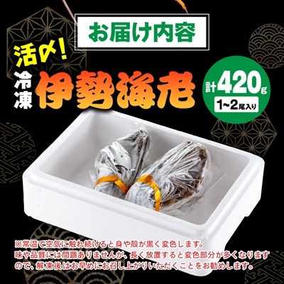 刺身用活〆冷凍伊勢海老420g