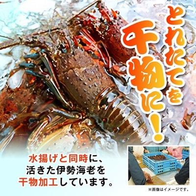伊勢海老の干物200g×2尾