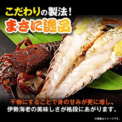 伊勢海老の干物200g×2尾